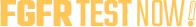 FGFR TEXT NOW